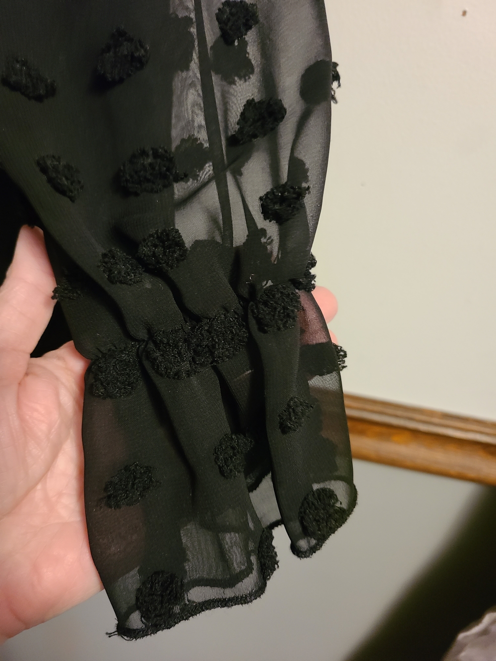 Source Unknown Black Sheer Swiss Dot Blouse Sleeve